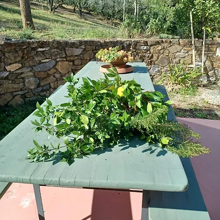 Poggio Al Grillo Matteotti Holiday home Castagneto Carducci